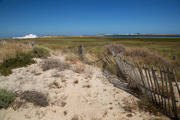 Playa Arena Con Valla Campo Verde Lago Distante —  Fotos de Stock