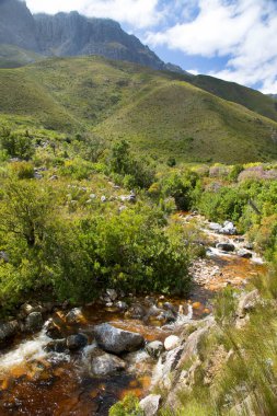 Dağları ve nehri olan güzel bir manzara.