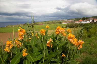 Kırsal manzarası çok güzel.