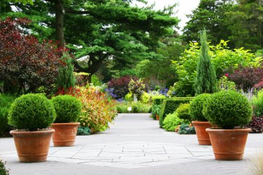 Çiçekleri ve bitkileri olan güzel bir bahçe.