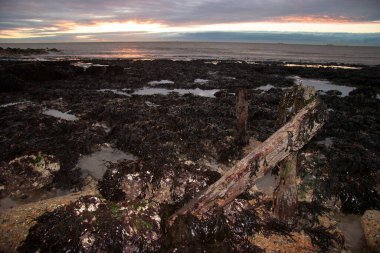 Denizin üzerinde güzel bir gün batımı