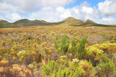 Güzel bahar dağlarının manzarası
