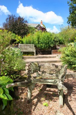 Yeşil bitkileri olan güzel bir yaz bahçesi