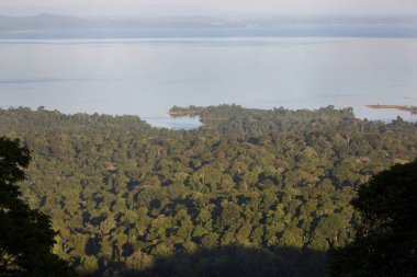 Nehir manzarası, tropik yeşillik ve uzak dağlar