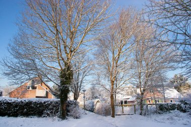 Karla kaplı ağaçlarla kaplı kış manzarası