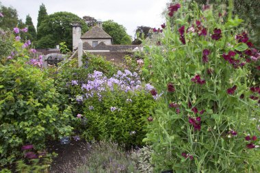 Güzel botanik fotoğrafı, doğal duvar kağıdı.