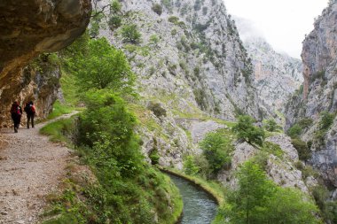 Dağlarda yürüyüşçüler, Kuzey İspanya.