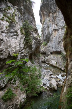 Dağ nehri ve mağaraların güzel manzarası