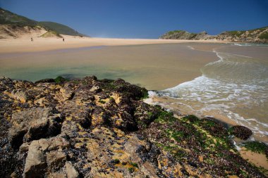 Güzel kıyı şeridi ve okyanus manzarası. 
