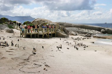 Sahilde turist sürüsü