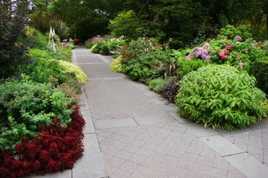 Güzel çiçekler ve bitkilerle dolu park