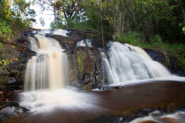 Tropikal ormanda akan kayalık nehir manzarası