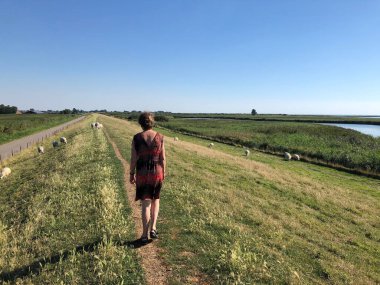 Yeşil çimlerde yol boyunca yürüyen kadının dikiz manzarası