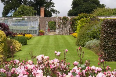 Güzel botanik fotoğrafı, doğal duvar kağıdı.