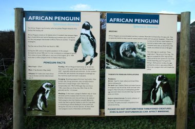 Parktaki bilgi işareti