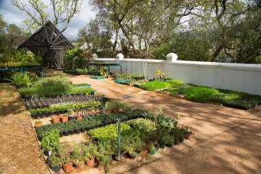 Avustralya 'da güzel bir bahçe manzarası