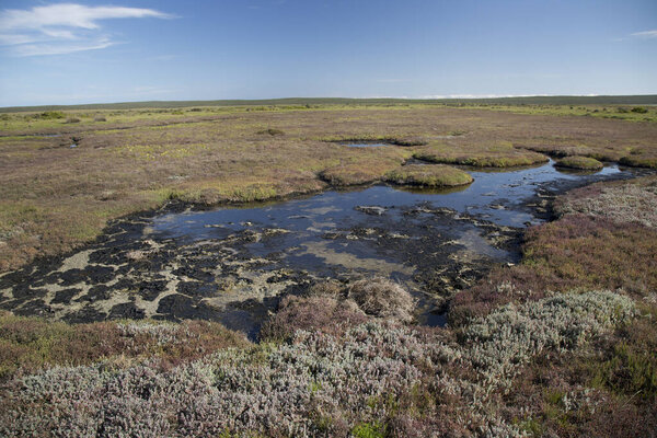 beautiful landscape of wetlands at countryside