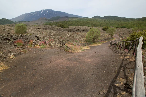 Vista Della Strada Sterrata Zona Montuosa — Foto Stock