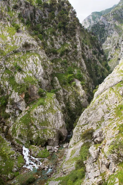 Yeşil çimenleri ve mavi gökyüzü olan güzel dağ manzarası