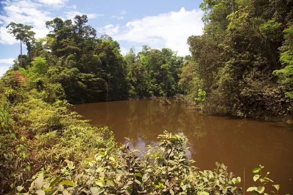 Parktaki nehrin güzel manzarası