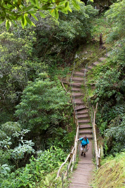 Woman Hiking Mediterranean Forest Mountains — Stock Photo, Image