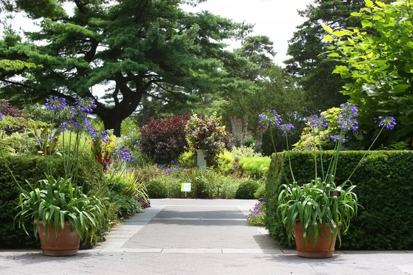 Park Med Vakre Blomster Planter – stockfoto