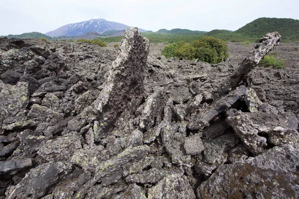 美丽山景中的火山岩 — 图库照片