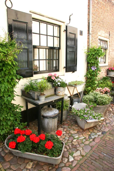 Les Façades Des Maisons Village Elburg Aux Pays Bas — Photo