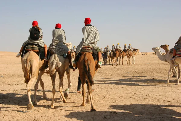 Çölde develerin üzerinde gezen insanların manzarası.
