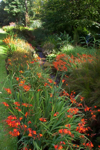 Prachtig Uitzicht Botanische Scene — Stockfoto