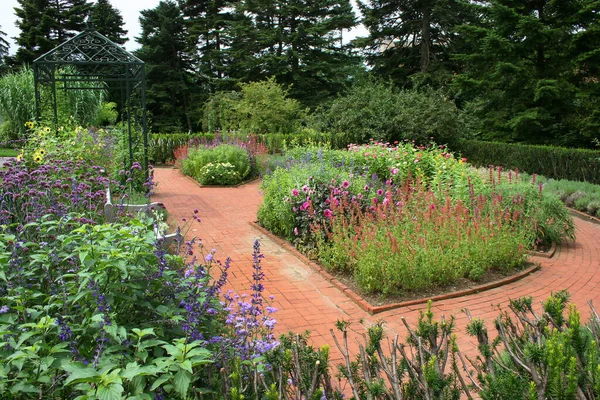 Güzel çiçekler ve bitkilerle dolu park