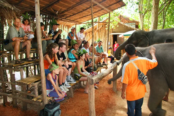 Туристы Ищут Шоу Слоном Азии — стоковое фото