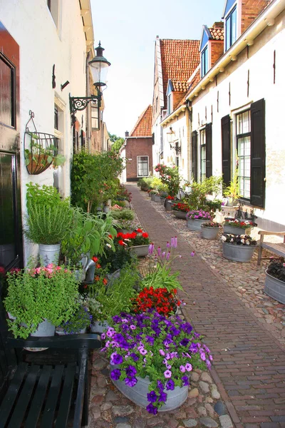 Fasády Domů Vesnice Elburg Nizozemsku — Stock fotografie