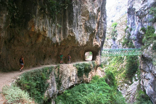 Dağların güzel manzarası