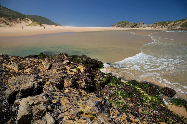 Güzel kıyı şeridi ve okyanus manzarası. 