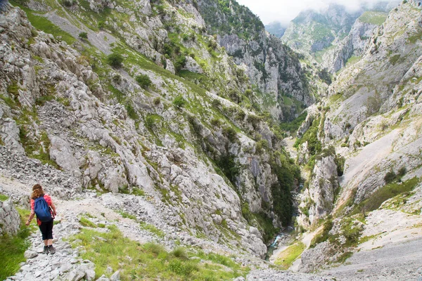 Kuzey İspanya 'da oyulmuş bir yürüyüş yolu ile dar ve sarp bir vadi boyunca iyi bilinen bir yürüyüş rotasındaki dağ yürüyüşçüleri..