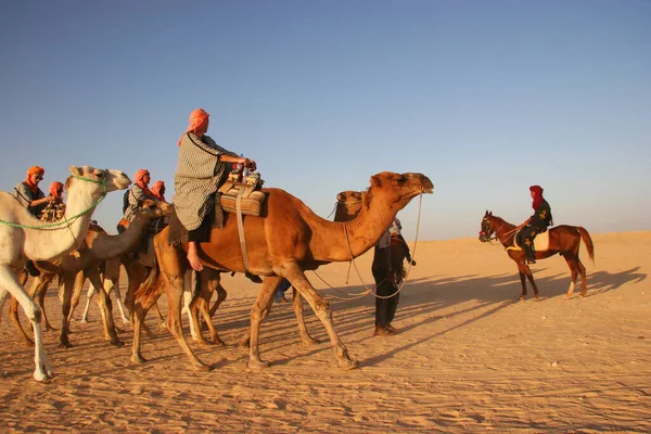 Vista Gente Montando Camellos Desierto — Foto de Stock