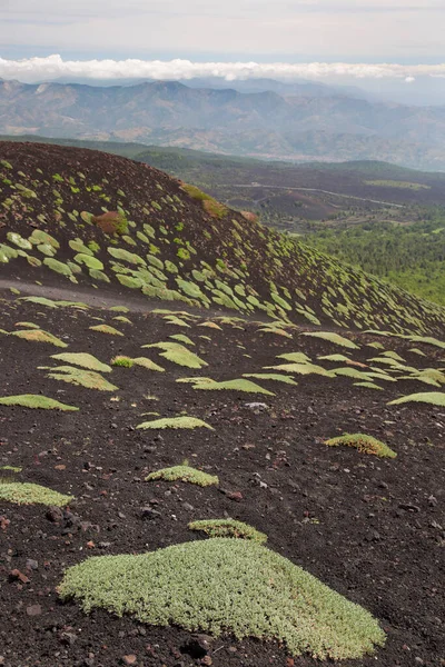 Etna Dağı 'nın krater kenarı lav tarlaları ve dik yamaçlar. Çakıl taşlarıyla kaplı. Güçlü öncü bitkiler tarafından büyütülmüş.