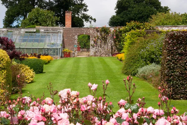Güzel botanik fotoğrafı, doğal duvar kağıdı.