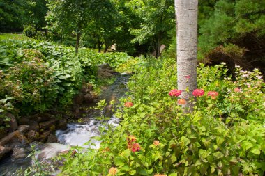 Yazın güzel bir bahçe