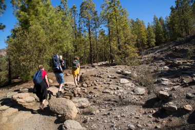 Dağlarda sırt çantalı tanınmayan turistler. Dağlarda sonbahar konsepti.