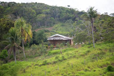 Ormandaki kulübe manzarası