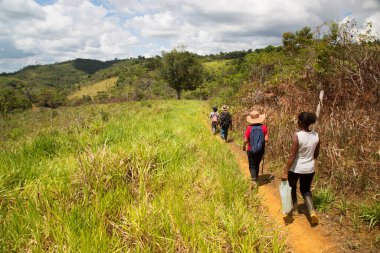 yemyeşil bir sahnede yürüyüş yapan bir grup insan, seyahat çekimleri.