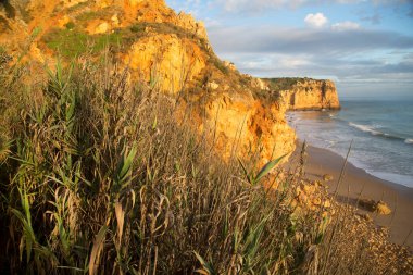 Kayalık kıyılar, kayalıklar ve kayalar denizlerde