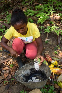 Kakao fasulyesi soyan kadın, seyahat çekimi.
