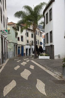 Şehrin sokak manzarası 