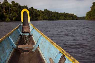 Nehir manzarası bottan yeşillikle çevrili.