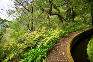 Parkın güzel manzarası