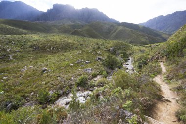 Dağları ve mavi gökyüzü olan güzel bir manzara. 