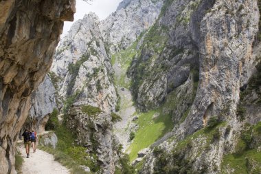 Kuzey İspanya 'da oyulmuş bir yürüyüş yolu ile dar ve sarp bir vadi boyunca iyi bilinen bir yürüyüş rotasındaki dağ yürüyüşçüleri..